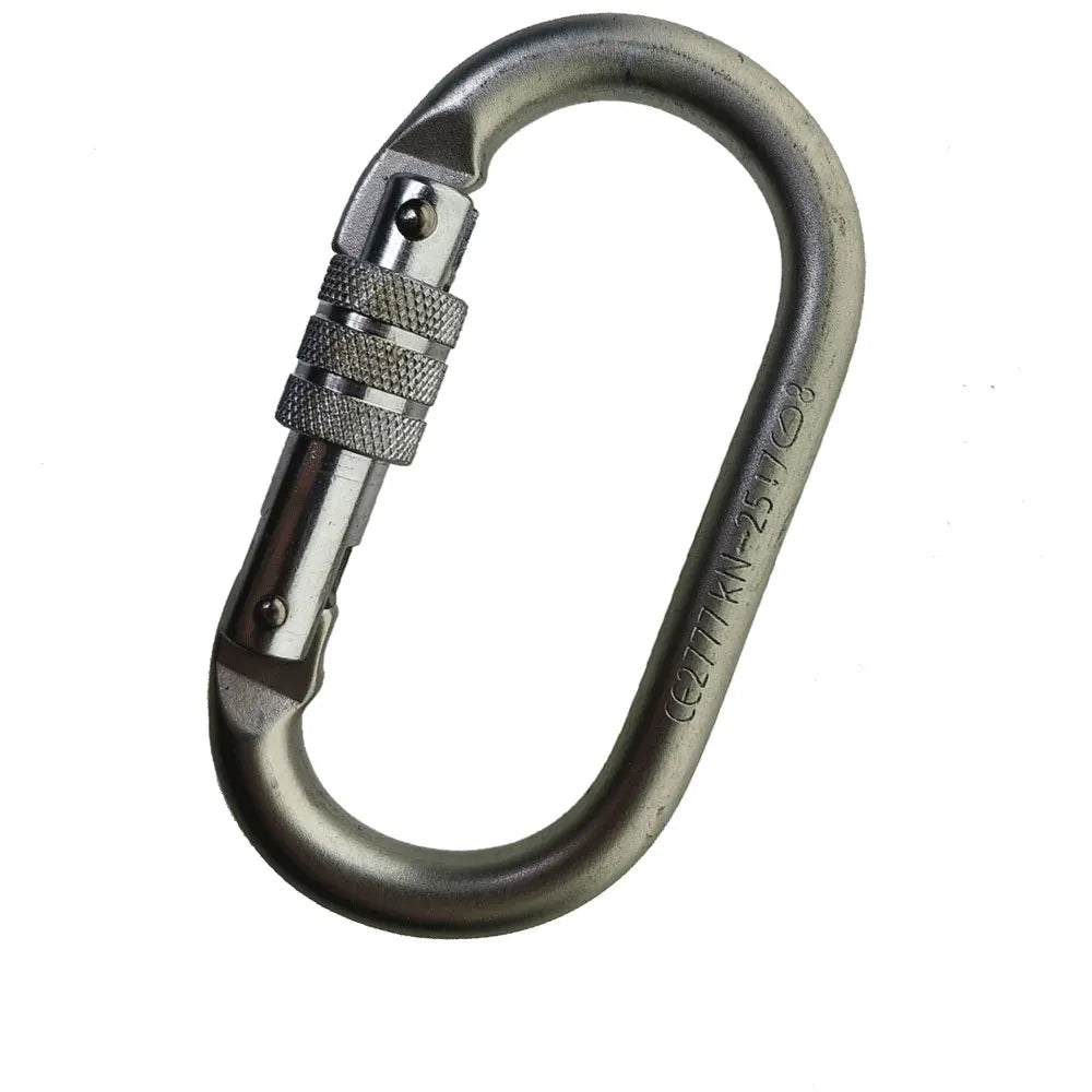 Alloy Steel Oval Screw Locking Carabiner Keychain